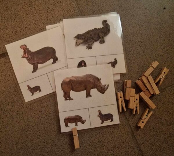 knijpkaarten jungle dieren